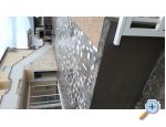 Appartements Topalovic - ostrov Vir Kroatien