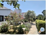 Appartements Budija / Lavanda - ostrov Vir Kroatien