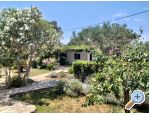 Appartements Budija / Lavanda - ostrov Vir Kroatien