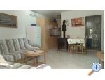 Appartements aja - ostrov Vir Croatie