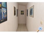 Appartements aja - ostrov Vir Croatie