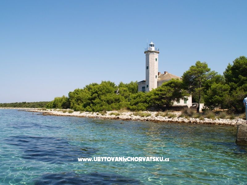 Appartements Zarko – Ferienwohnung Insel Vir, Kroatien – Foto 10