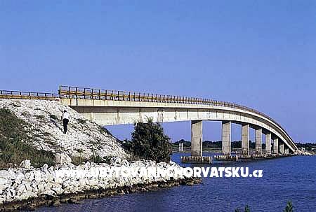 Appartements Zitna – Ferienwohnung Insel Vir, Kroatien – Foto 15