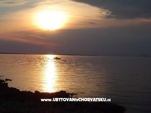 Appartements Zitna – Ferienwohnung Insel Vir, Kroatien – Foto 16