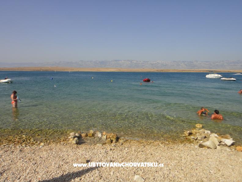 Appartements Zitna – Ferienwohnung Insel Vir, Kroatien – Foto 8