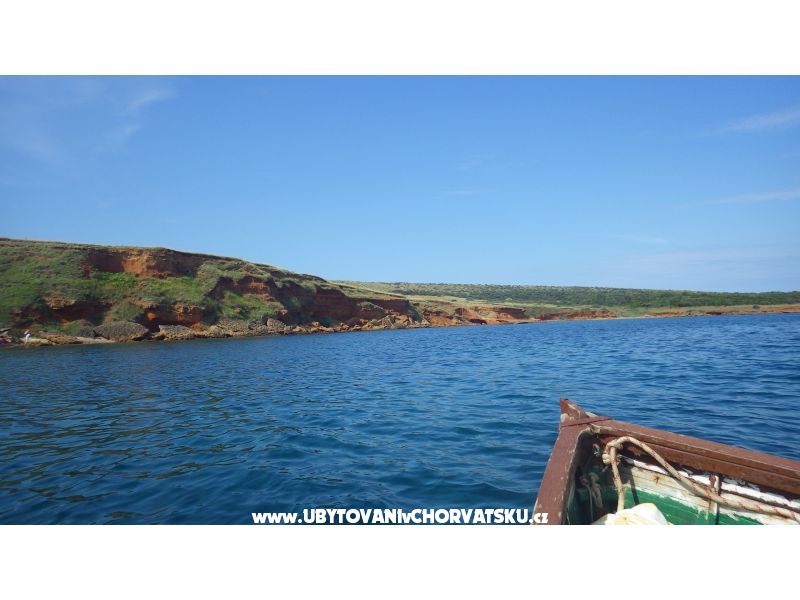 Appartements Zitna – Ferienwohnung Insel Vir, Kroatien – Foto 9