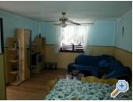 Appartements Barica - ostrov Vir Croatie