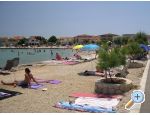 Appartement IVA - VIR - ostrov Vir Croatie
