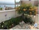 Appartement IVA - VIR - ostrov Vir Croatie