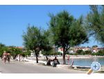 Appartement IVA - VIR - ostrov Vir Croatie