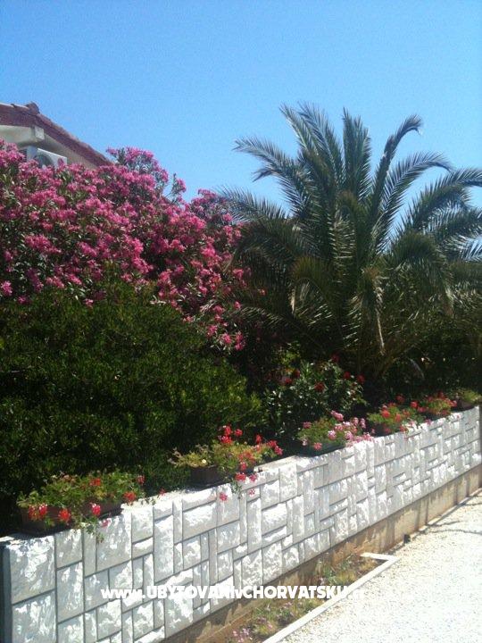 Apartmán Lučica – ubytování ostrov Vir, Chorvatsko – foto 1