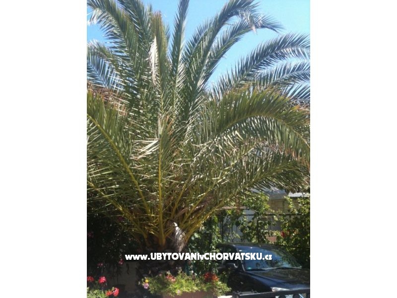 Apartmán Lučica – ubytování ostrov Vir, Chorvatsko – foto 10