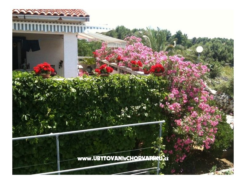 Apartmán Lučica – ubytování ostrov Vir, Chorvatsko – foto 11