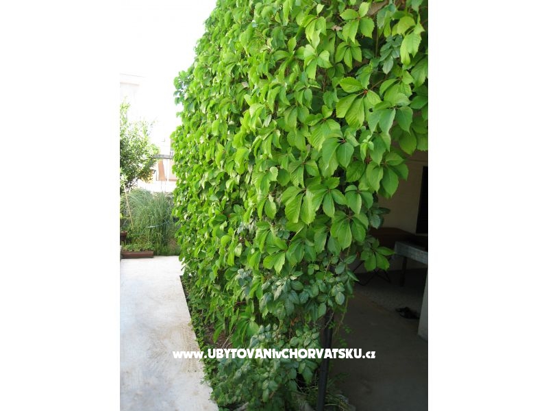 Apartmán Lučica – ubytování ostrov Vir, Chorvatsko – foto 12