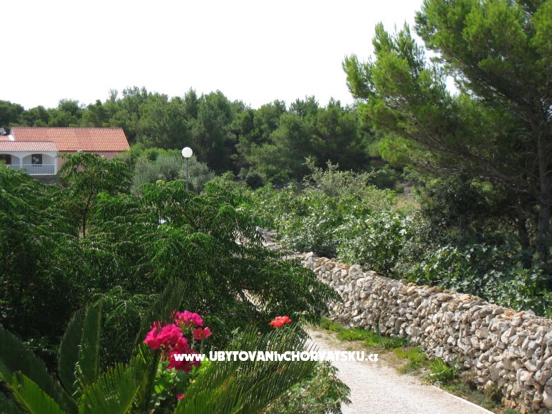 Apartmán Lučica – ubytování ostrov Vir, Chorvatsko – foto 13