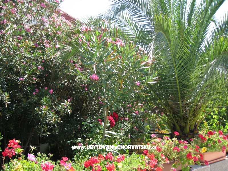 Apartmán Lučica – ubytování ostrov Vir, Chorvatsko – foto 16