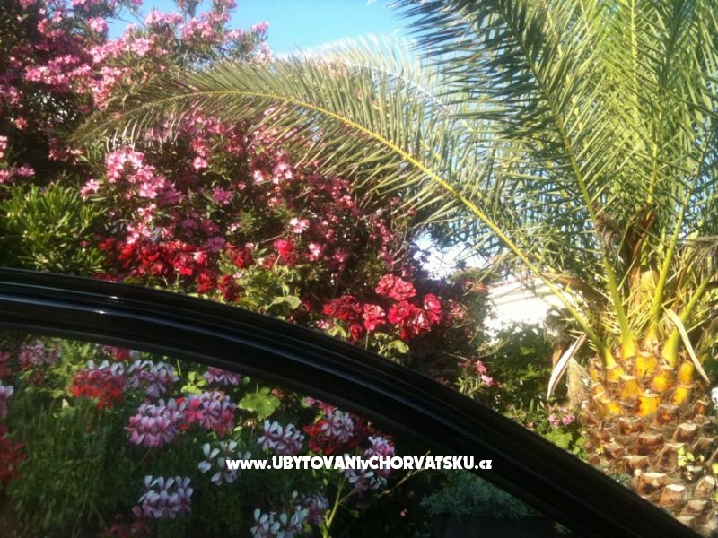 Apartmán Lučica – ubytování ostrov Vir, Chorvatsko – foto 3