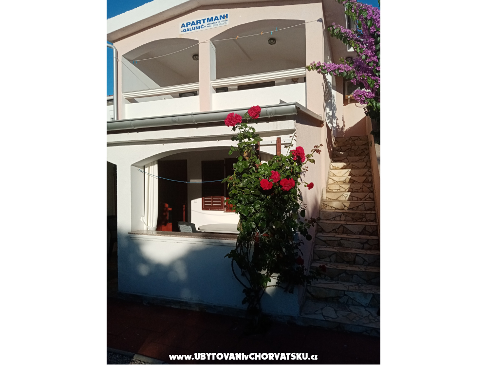 Appartements Galuni - ostrov Vir Croatie