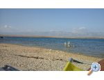 Appartements Galuni - ostrov Vir Croatie