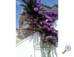 Appartements Galuni - ostrov Vir Croatie