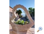 Appartements Ewa - ostrov Vir Croatie