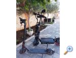 Appartements Ewa - ostrov Vir Croatie