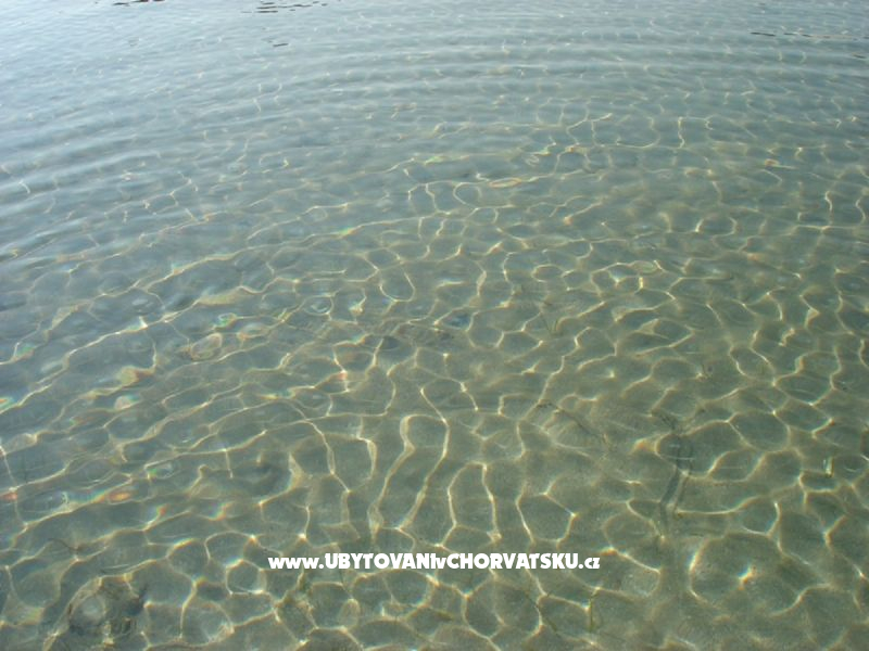 Apartmány IVA – ubytování ostrov Vir, Chorvatsko – foto 34