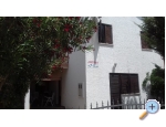 Apartmaji IVA - ostrov Vir Hrvaka