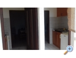 Appartements IVA - ostrov Vir Kroatien