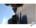 Appartements IVA - ostrov Vir Kroatien