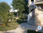 Appartements Kozic - ostrov Vir Croatie