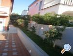 Appartements Kozic - ostrov Vir Croatie