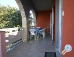 Appartements Kozic - ostrov Vir Croatie