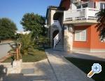 Appartements Kozic - ostrov Vir Croatie