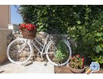 Appartements Luka - ostrov Vir Croatie
