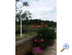 Ferienwohnungen Vlai - ostrov Vir Kroatien