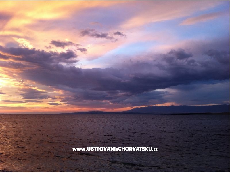 Appartement Graf – Ferienwohnung Insel Vir, Kroatien – Foto 11