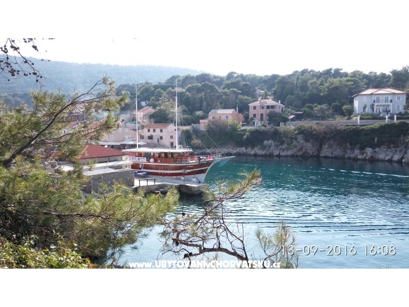 Appartement Graf – Ferienwohnung Insel Vir, Kroatien – Foto 15