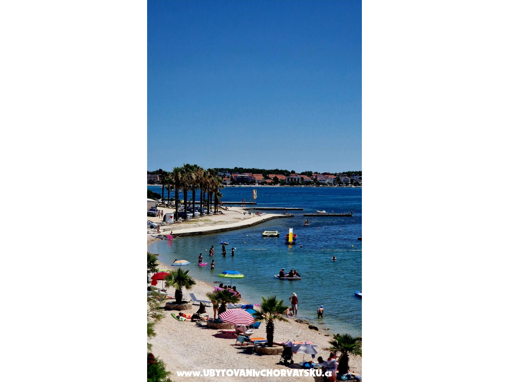 Dinary - ostrov Vir Croatia