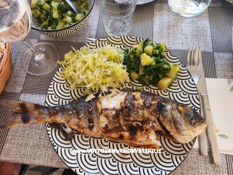 Appartements Dragicevic – Ferienwohnung Insel Vir, Kroatien – Foto 25
