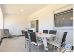Appartements Dragicevic - ostrov Vir Kroatien