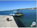 Appartements Dragicevic - ostrov Vir Croatie