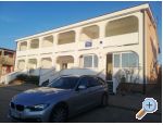Appartements Dragicevic - ostrov Vir Croatie