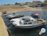 Appartements Dragicevic - ostrov Vir Croatie