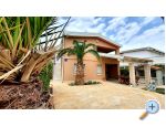 Happy Pineapple Appartements Vir - ostrov Vir Croatie