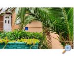 Happy Pineapple Appartements Vir - ostrov Vir Croatie