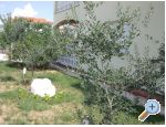 APARTMANI HELENA OASIS VIR - ostrov Vir Croatie
