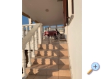 Appartements Karolina - ostrov Vir Kroatien