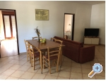 Appartements Liveric - ostrov Vir Kroatien