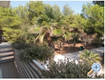 Appartements Liveric - ostrov Vir Kroatien